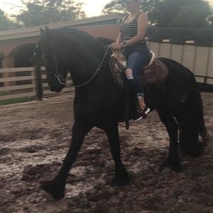 Meet your Posher, Oneida